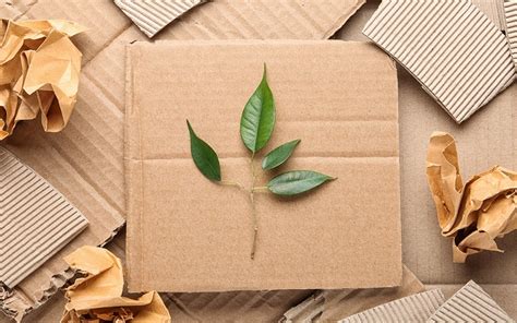  Jute: An Unsung Hero in Sustainable Composites and Biodegradable Packaging!