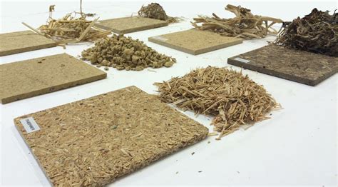 Esparto Grass Production: Exploring Sustainable Fiber for Biocomposites and Pulp Applications!