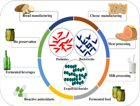  Lactic Acid: Exploring its Industrial Applications and Sustainable Production Pathways!