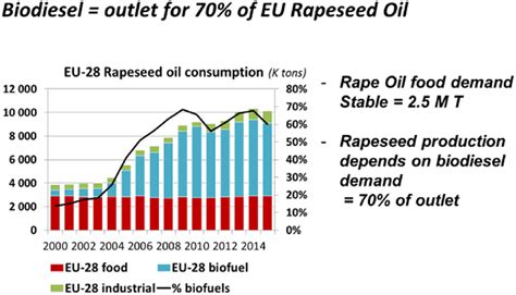 Rapeseed Oil – A Marvel for Biodiesel Production and Culinary Delights!